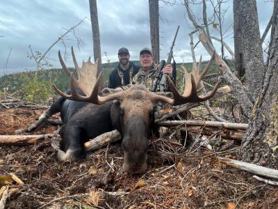 wta_1623_2023 Moose 4