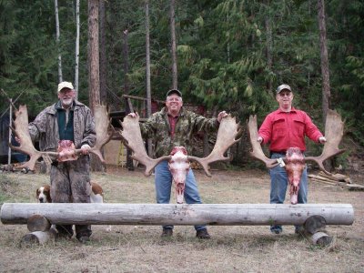 wta_1623_HQVORD_ThreeMoose