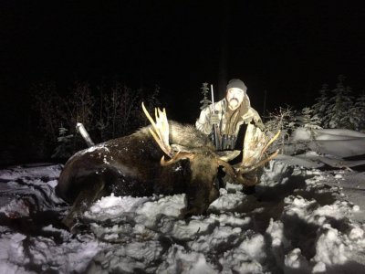wta_1623_YCJKXV_2018moose-Copy