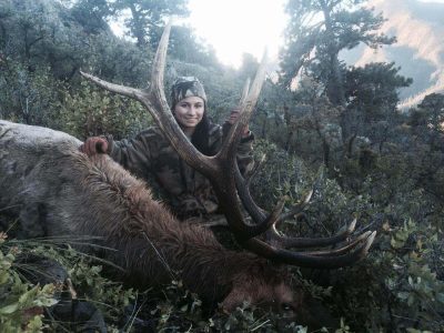 wta_1628_NRE5I0_Elk