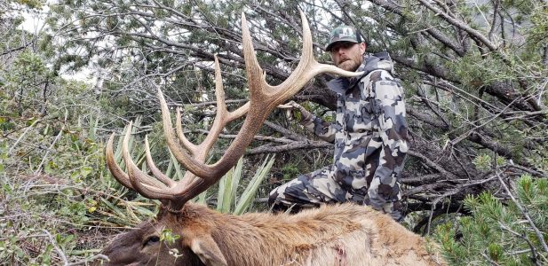 wta_1628_SW9DCY_2-AdamKingK9Outfitters2018Unit36