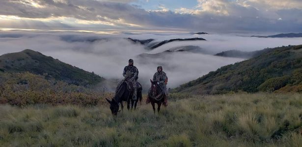 wta_1628_TOM6D9_4-AdamKingK9Outfitters2018Unit36