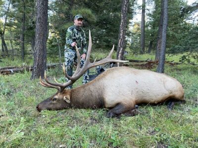 wta_1628__featured_JTZUAD_BradK.MuzBull