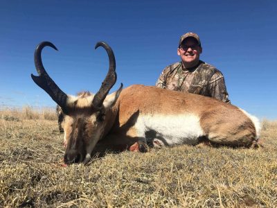 wta_1637_1JJM6Z_antelope3