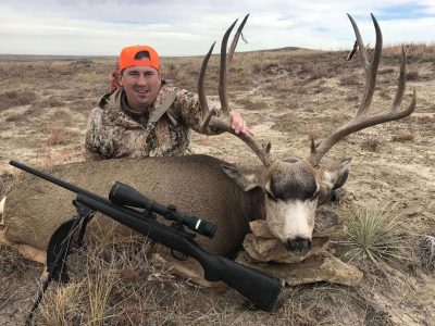 wta_1638_38CQQW_muledeer3