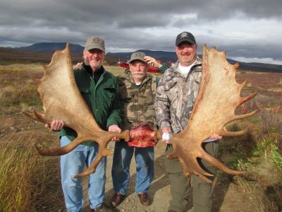 wta_163_5FM85Y_002_akyukmoose-9