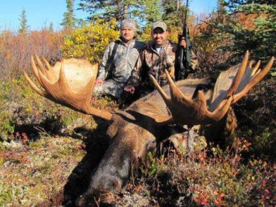 wta_163_E2IVKF_002_akmoose-1