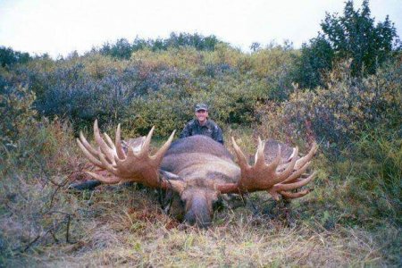 wta_163_TAG8CS_002_akmoose-4