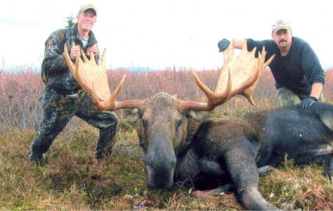 wta_163_U2N8QZ_002_akyukmoose-1