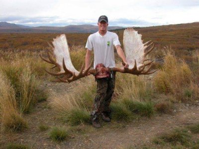 wta_163_ZYX0I6_002_akmoose-2