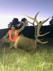 wta_1646__featured_P5S36R_IMG_2938