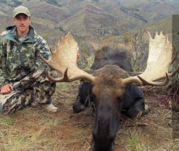 wta_1647_AL8H36_Moose3