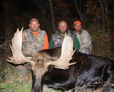 wta_1647__featured_FMF5G5_Moose2