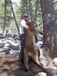 wta_1655_JZ8W5U_Bestbearhug