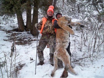 wta_1655__featured_3DBXOJ_Lion1
