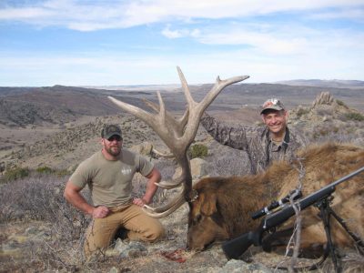 wta_1667_NZ3CD7_2012-WY-ELK150