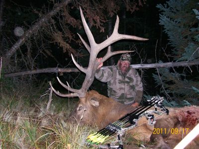 wta_1667_O7CTTU_2011wyomingelk008
