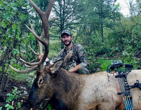 wta_1674_NORTH ORB ARCHERY BULL #1 - '19