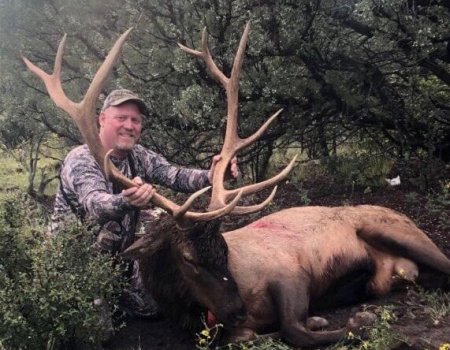 wta_1674_NORTH ORB ARCHERY BULL #4 - 19