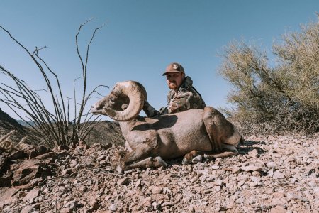 wta_1686_Arizona_00664