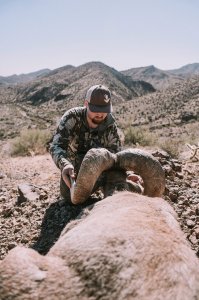 wta_1686_Arizona_00831