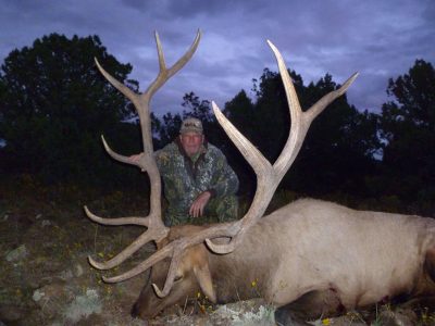 wta_1688_E56XRA_2011Roearlybull029