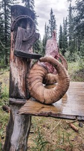 wta_1692_20230808_120724-Recovered