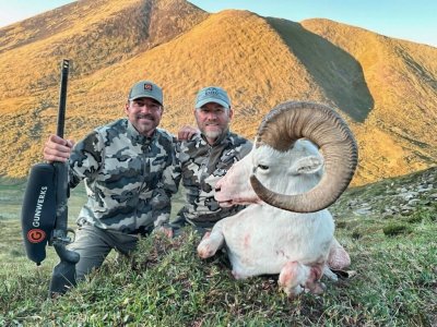 wta_1692_Garrett Dall SHeep 2023_2-Recovered