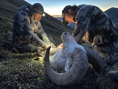 wta_1692_Photo Aug 06 2023, 11 42 06 PM