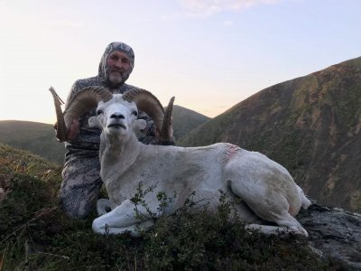 wta_1692_Sheep Yukon Peak 1