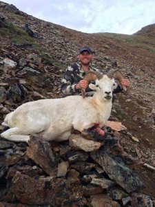 wta_1692_XJEHSG_whippleram