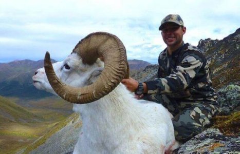 wta_1692_YZR2IM_IMG_6829