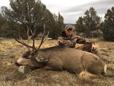 wta_1705__featured_KAUAZB_YouthDeer