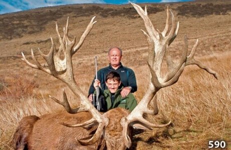 wta_1734_13IYSS_RedStag8