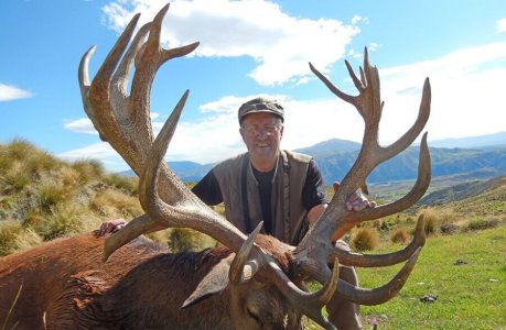 wta_1734_IUQH5T_RedStag