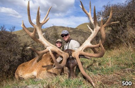 wta_1734_KWB004_RedStag5