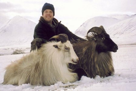 wta_1734_UKXZ04_Tahr4