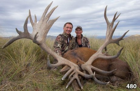 wta_1735_3BAGO0_RedStag3