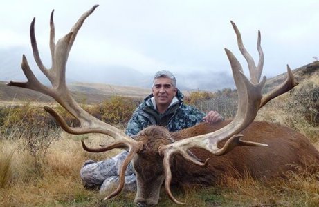 wta_1735_3D7IWA_RedStag4