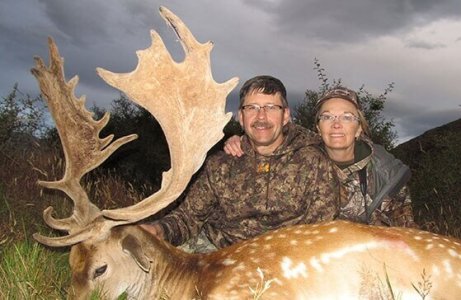 wta_1735_A3FWJN_FallowDeer3
