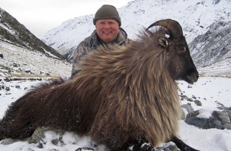 wta_1735_B8E9IZ_Tahr