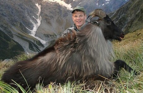 wta_1735_EXIYJD_Tahr2