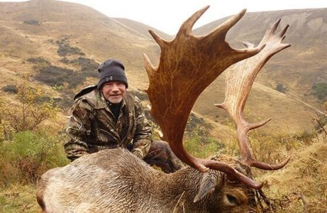 wta_1735_FAL692_FallowDeer4