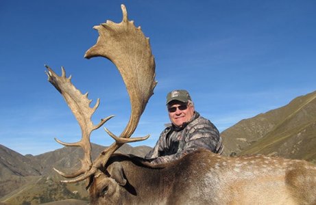 wta_1735_JNXK6S_FallowDeer