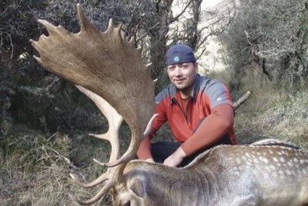 wta_1735_MEM6B4_FallowDeer2