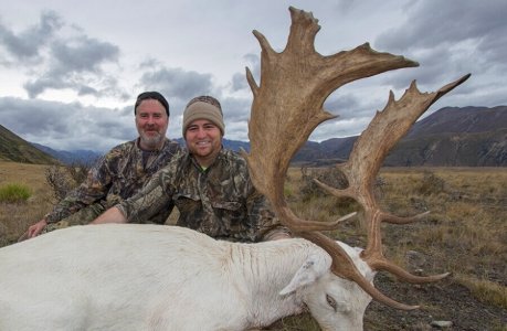 wta_1735_RJ1A19_FallowDeer1