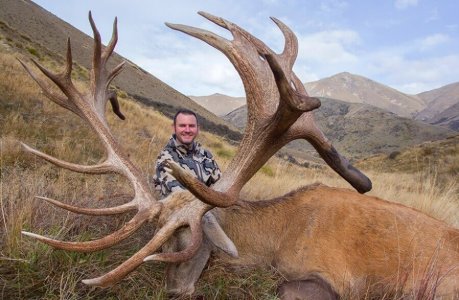 wta_1735_YJ686W_RedStag1