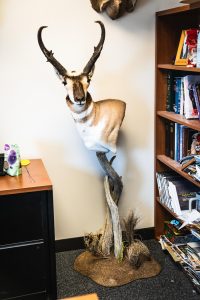 wta_1750_WTA-Jason-Antelope-09