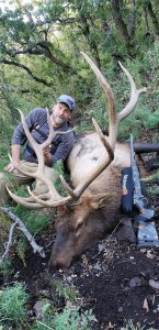 wta_1754_2DH1NP_EricPawlak-36muzzybull-2019