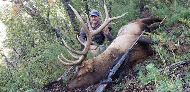 wta_1754_51JWH9_EricP.MuzBull